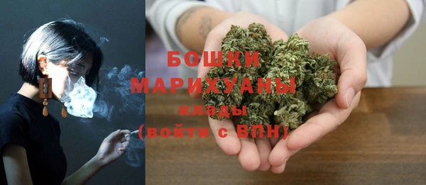 гашик Инсар