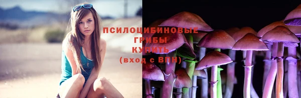 твердый Иннополис