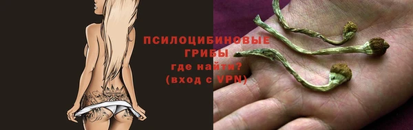 гашик Инсар