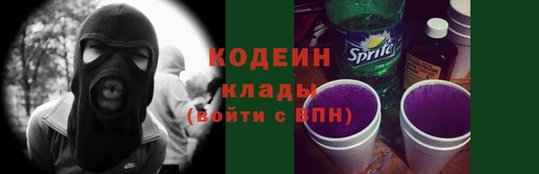 гашик Инсар