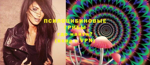меф Инта