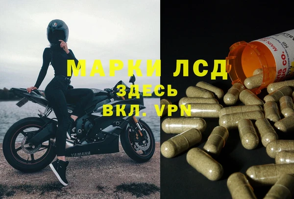 меф Инта