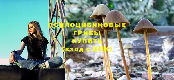 гашик Инсар