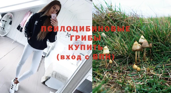 гашик Инсар