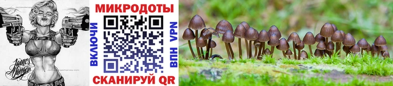 Псилоцибиновые грибы ЛСД  Купить  Фёдоровский 