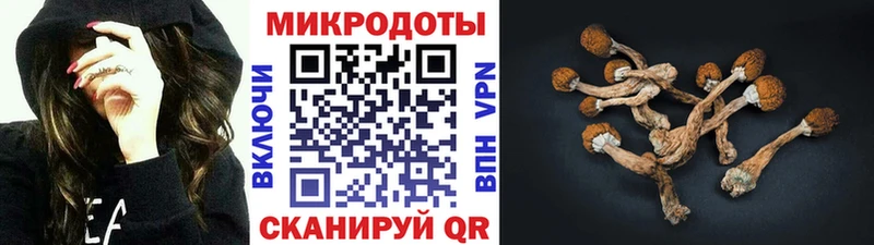 Псилоцибиновые грибы мухоморы Фёдоровский